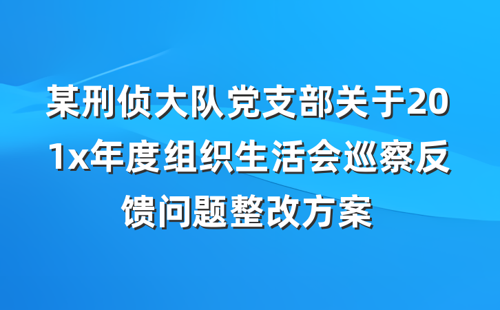 某刑侦大队党支部关于201x年度组织生活会巡察反馈问题整改方案