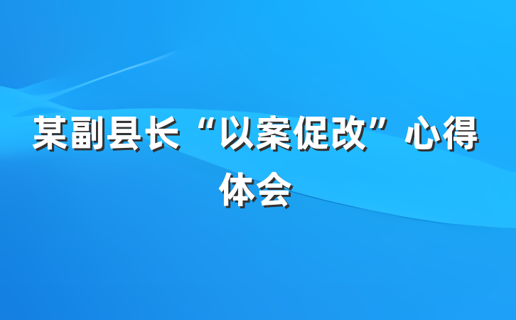 某副县长“以案促改”心得体会