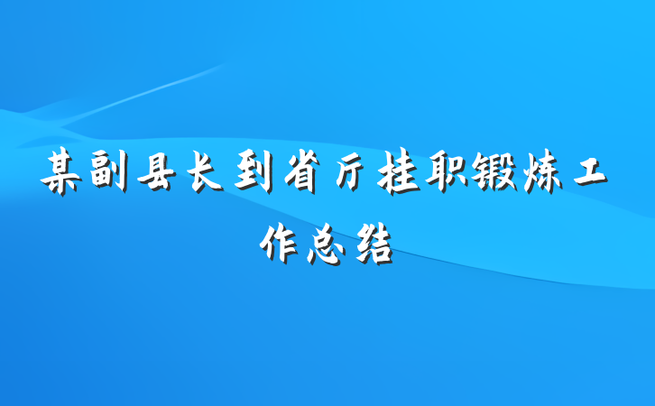 某副县长到省厅挂职锻炼工作总结
