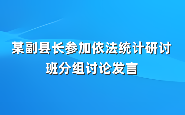 某副县长参加依法统计研讨班分组讨论发言