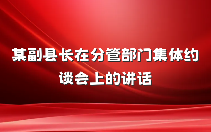 某副县长在分管部门集体约谈会上的讲话