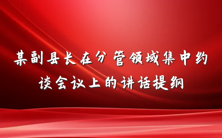 某副县长在分管领域集中约谈会议上的讲话提纲
