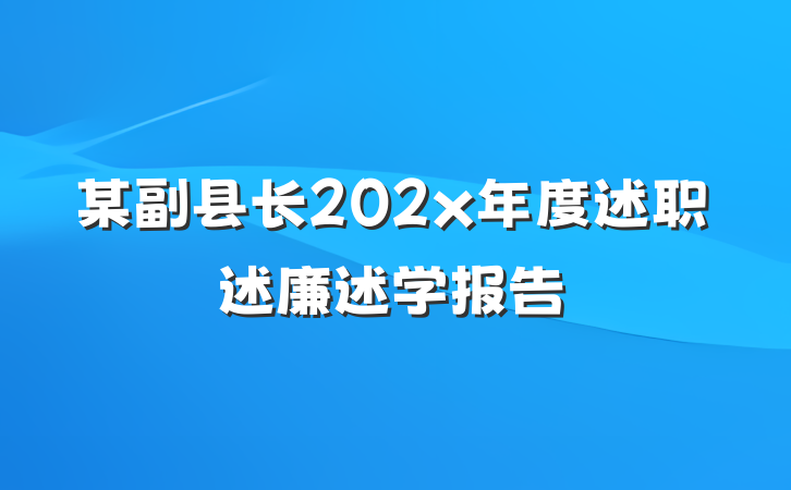 某副县长202x年度述职述廉述学报告