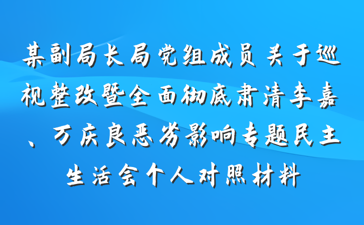 某副局长局党组成员关于巡视整改暨全面彻底肃清李嘉、万庆良恶劣影响专题民主生活会个人对照材料