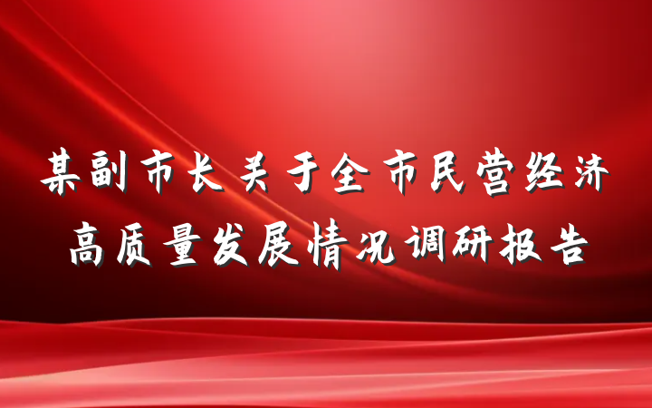 某副市长关于全市民营经济高质量发展情况调研报告