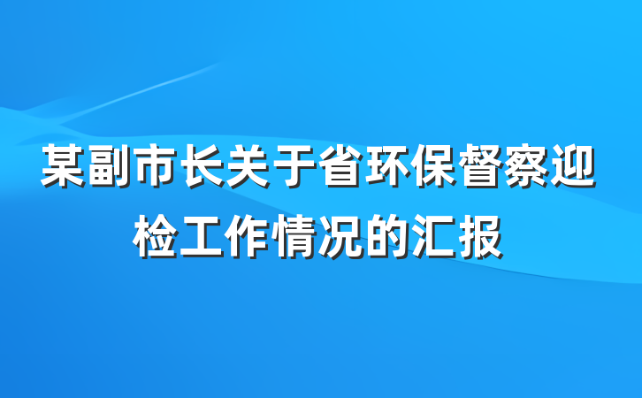 某副市长关于省环保督察迎检工作情况的汇报