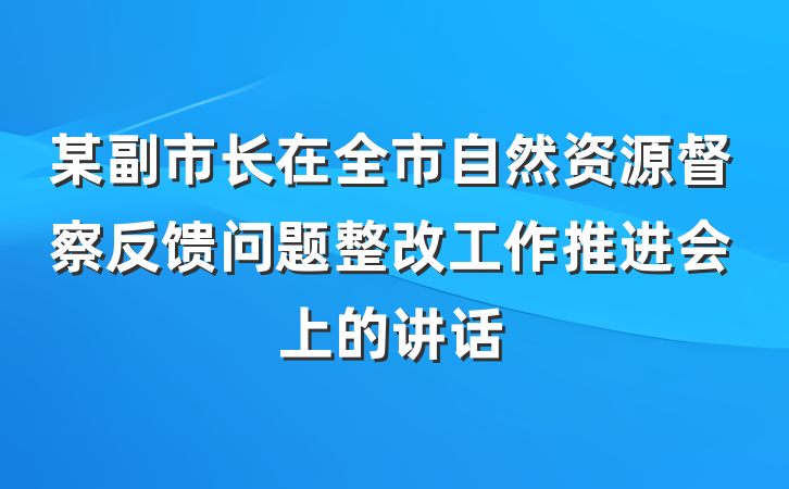 某副市长在全市自然资源督察反馈问题整改工作推进会上的讲话