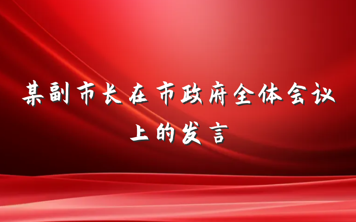 某副市长在市政府全体会议上的发言
