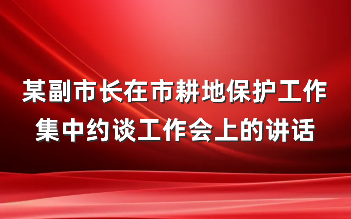 某副市长在市耕地保护工作集中约谈工作会上的讲话