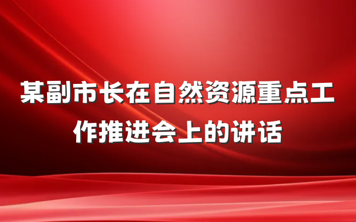 某副市长在自然资源重点工作推进会上的讲话