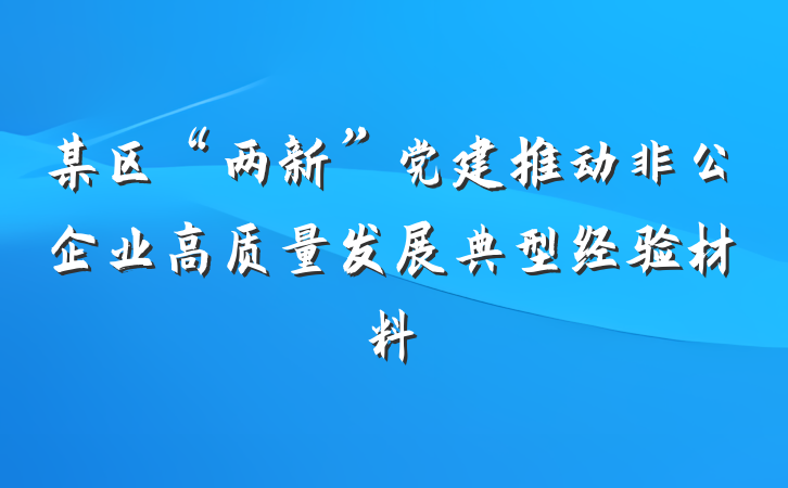 某区“两新”党建推动非公企业高质量发展典型经验材料