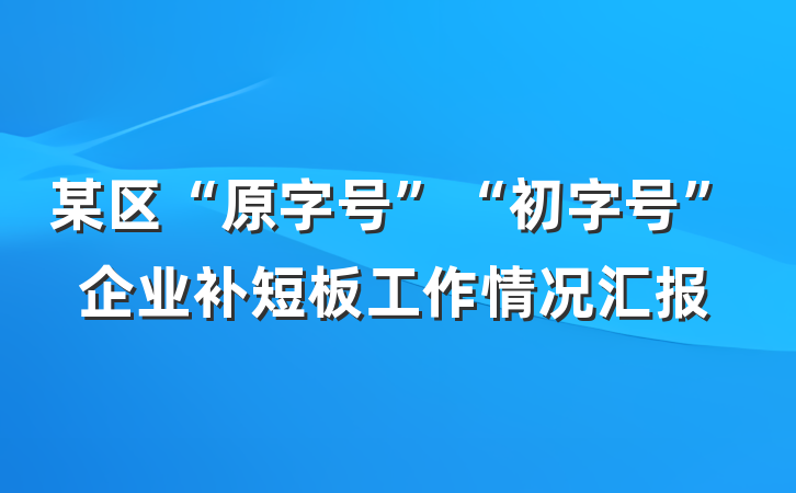 某区“原字号”“初字号”企业补短板工作情况汇报