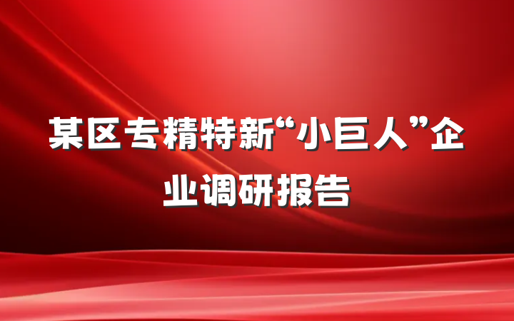 某区专精特新“小巨人”企业调研报告