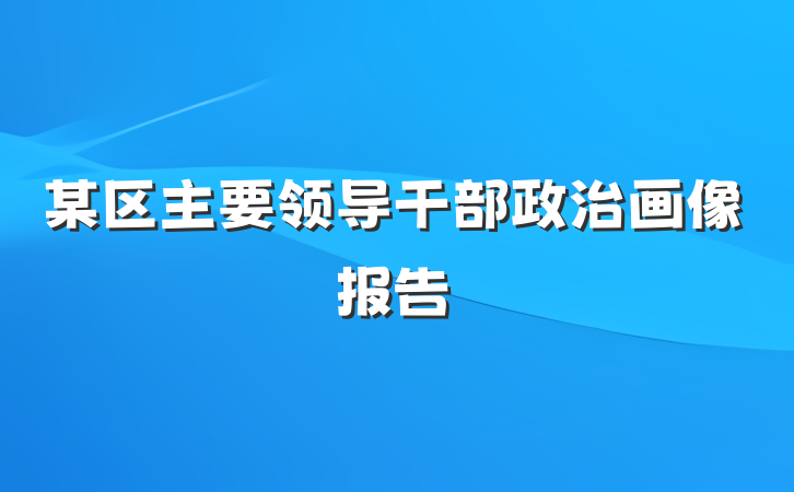 某区主要领导干部政治画像报告
