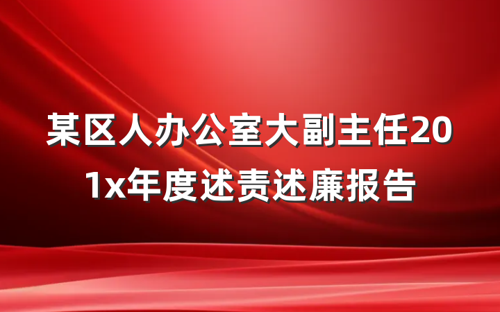 某区人办公室大副主任201x年度述责述廉报告