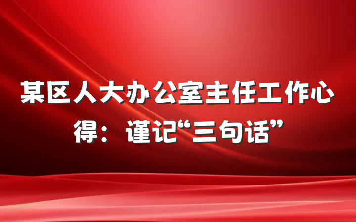 某区人大办公室主任工作心得：谨记“三句话”