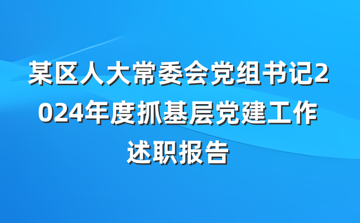 某区人大常委会党组书记2024年度抓基层党建工作述职报告