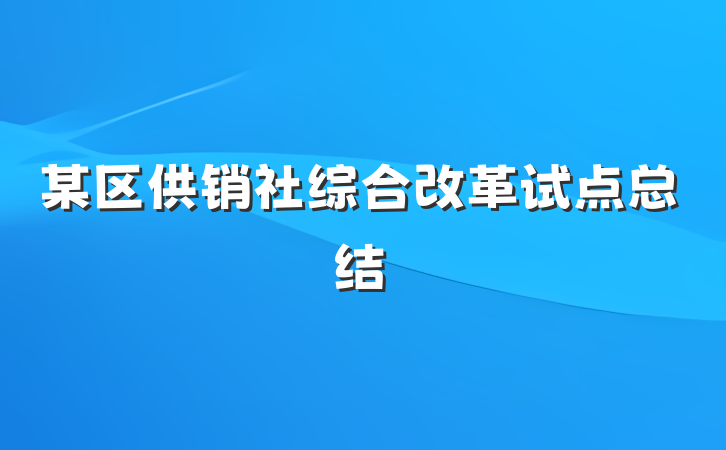 某区供销社综合改革试点总结