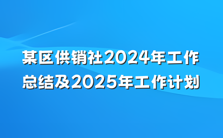 某区供销社2024年工作总结及2025年工作计划