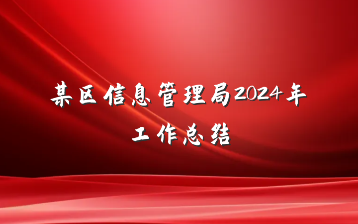 某区信息管理局2024年工作总结