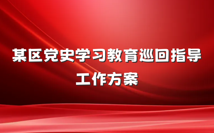 某区党史学习教育巡回指导工作方案