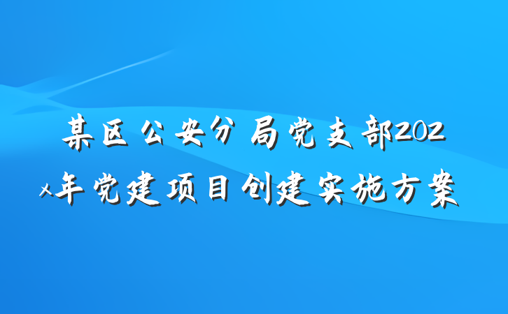 某区公安分局党支部202x年党建项目创建实施方案