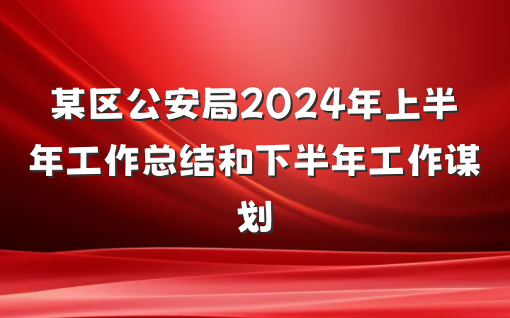 某区公安局2024年上半年工作总结和下半年工作谋划