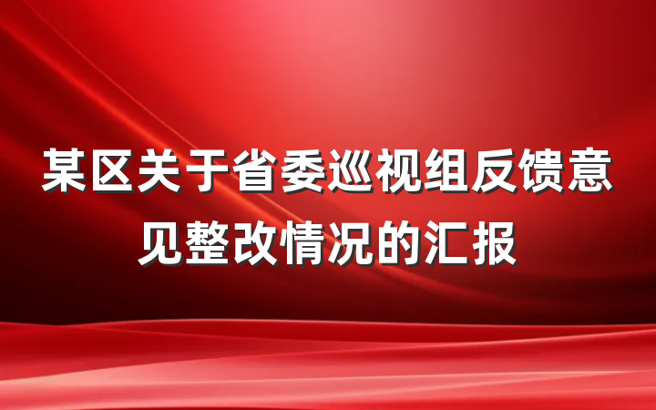 某区关于省委巡视组反馈意见整改情况的汇报