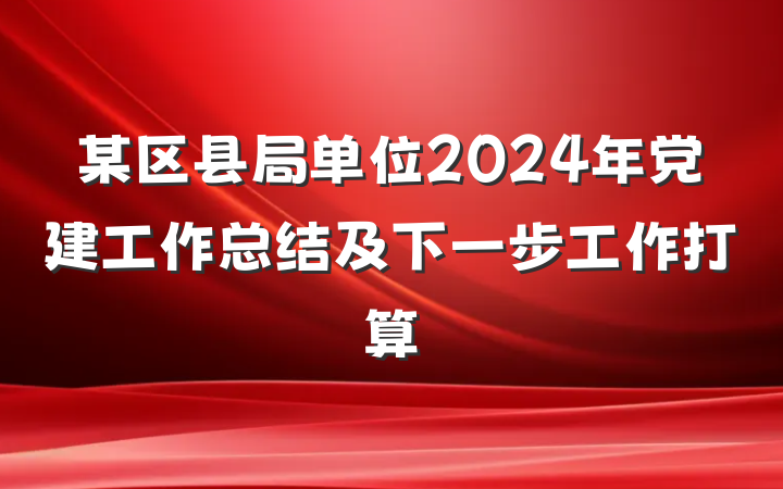 某区县局单位2024年党建工作总结及下一步工作打算