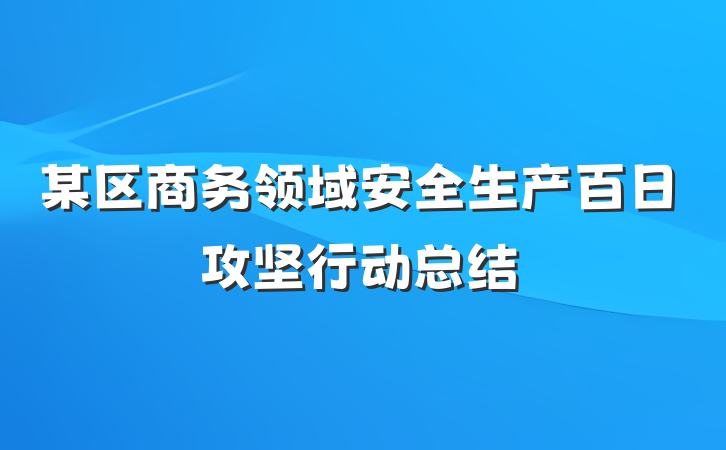 某区商务领域安全生产百日攻坚行动总结