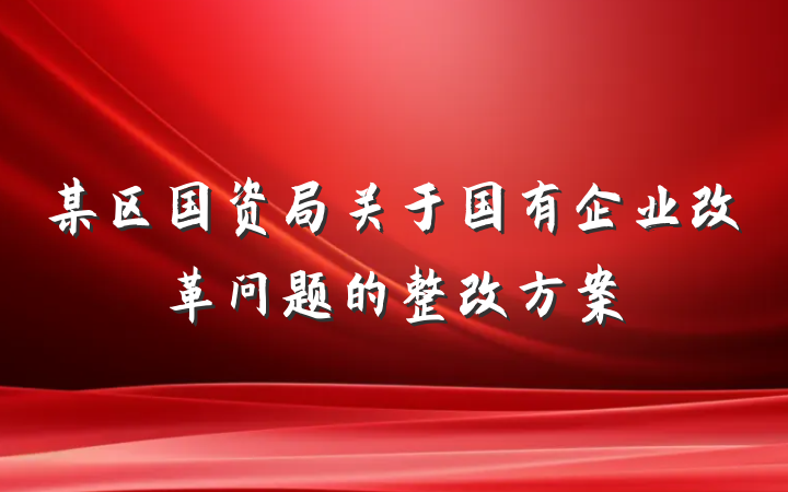 某区国资局关于国有企业改革问题的整改方案