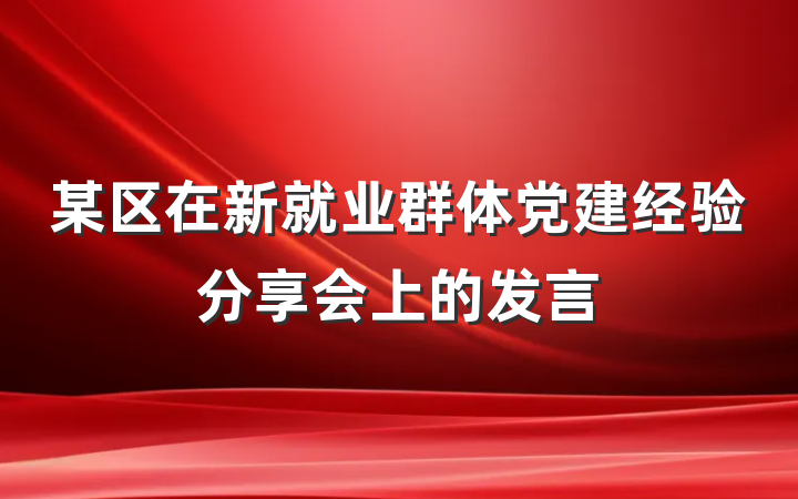 某区在新就业群体党建经验分享会上的发言