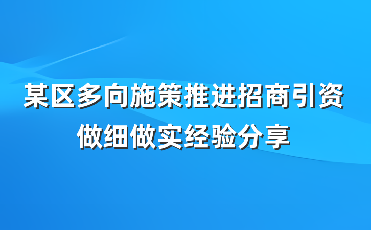 某区多向施策推进招商引资做细做实经验分享