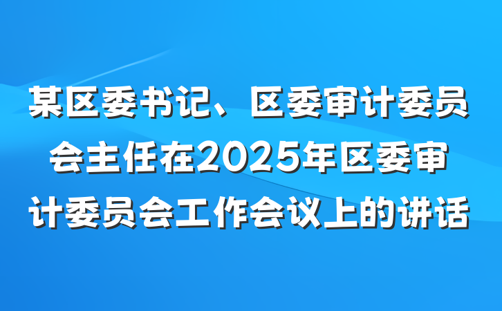 某区委书记、区委审计委员会主任在2025年区委审计委员会工作会议上的讲话