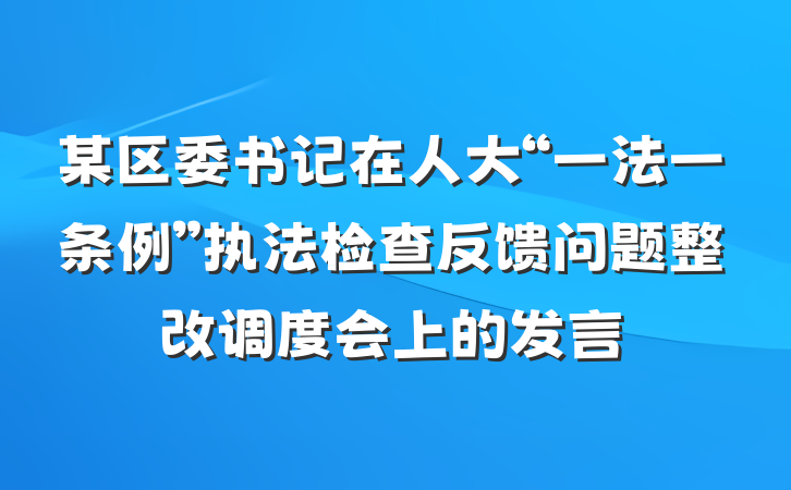 某区委书记在人大“一法一条例”执法检查反馈问题整改调度会上的发言