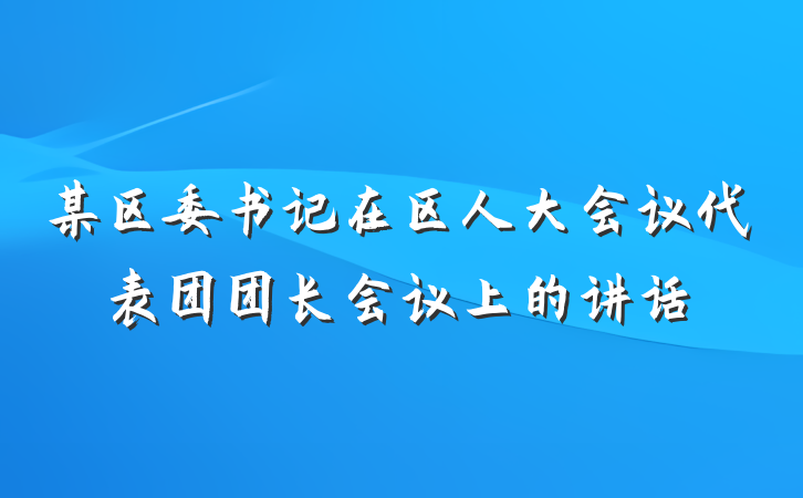 某区委书记在区人大会议代表团团长会议上的讲话