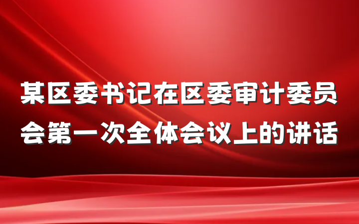 某区委书记在区委审计委员会第一次全体会议上的讲话