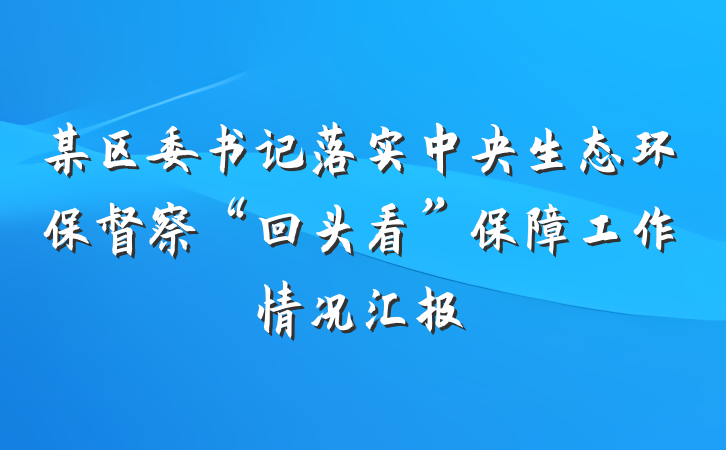 某区委书记落实中央生态环保督察“回头看”保障工作情况汇报
