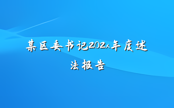 某区委书记202x年度述法报告