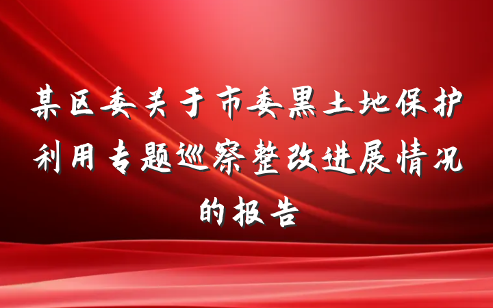 某区委关于市委黑土地保护利用专题巡察整改进展情况的报告