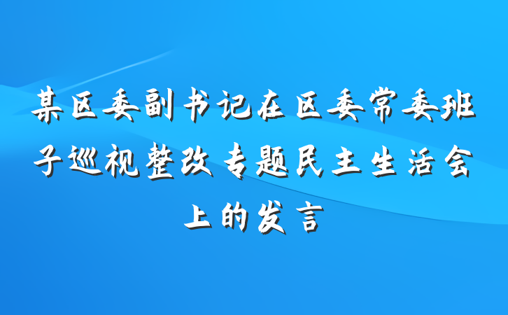 某区委副书记在区委常委班子巡视整改专题民主生活会上的发言