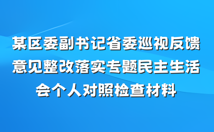 某区委副书记省委巡视反馈意见整改落实专题民主生活会个人对照检查材料