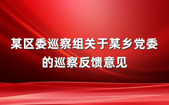某区委巡察组关于某乡党委的巡察反馈意见