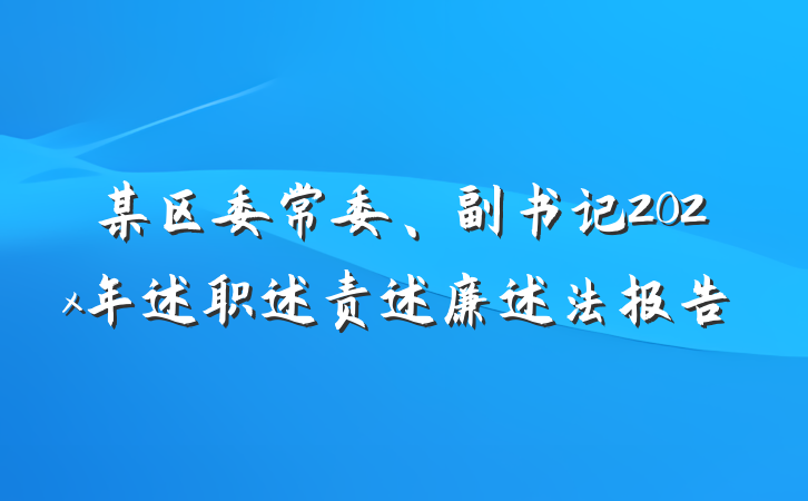 某区委常委、副书记202x年述职述责述廉述法报告