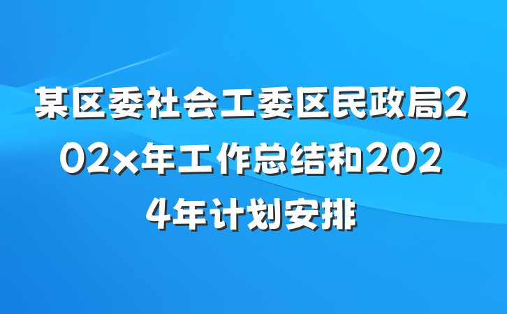 某区委社会工委区民政局202x年工作总结和2024年计划安排