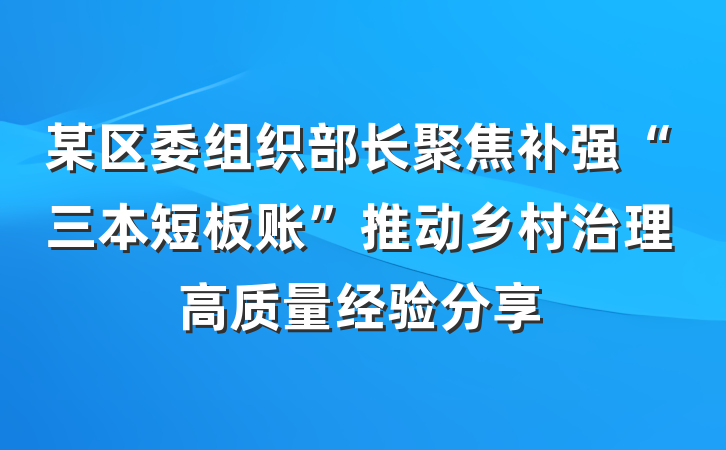 某区委组织部长聚焦补强“三本短板账”推动乡村治理高质量经验分享