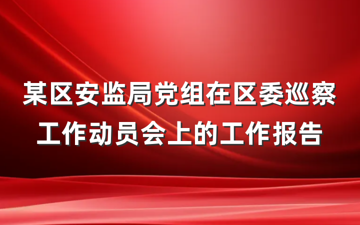 某区安监局党组在区委巡察工作动员会上的工作报告