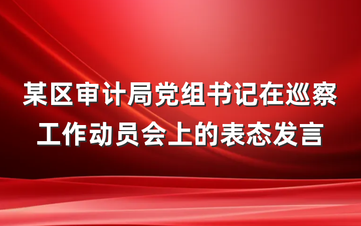 某区审计局党组书记在巡察工作动员会上的表态发言
