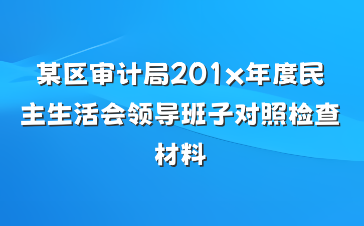 某区审计局201x年度民主生活会领导班子对照检查材料