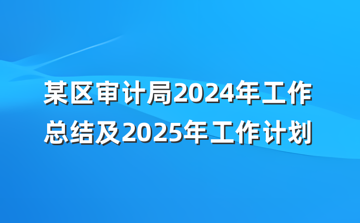 某区审计局2024年工作总结及2025年工作计划